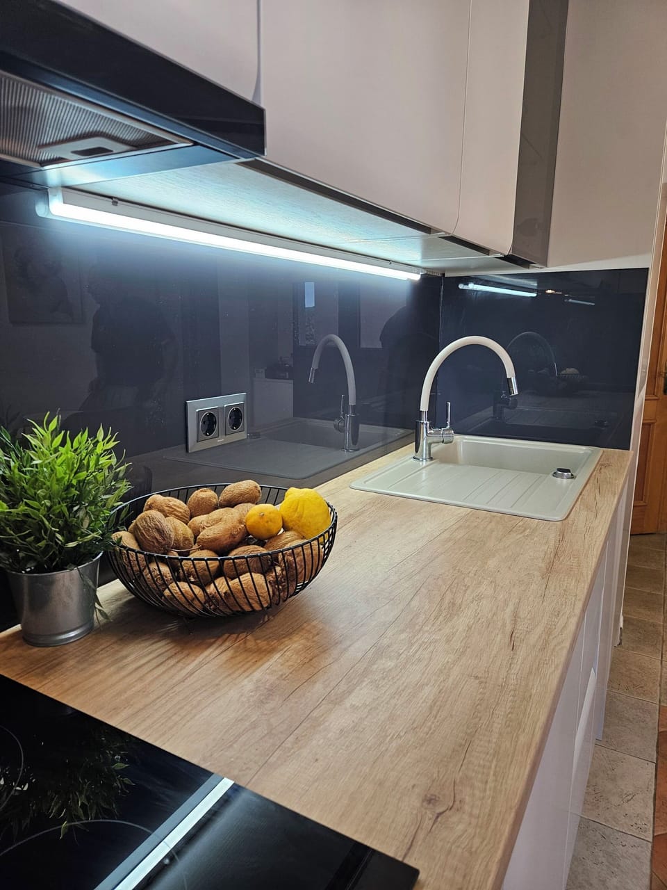 Apartment (A1) | Private kitchen | Fridge, oven, stovetop, dishwasher