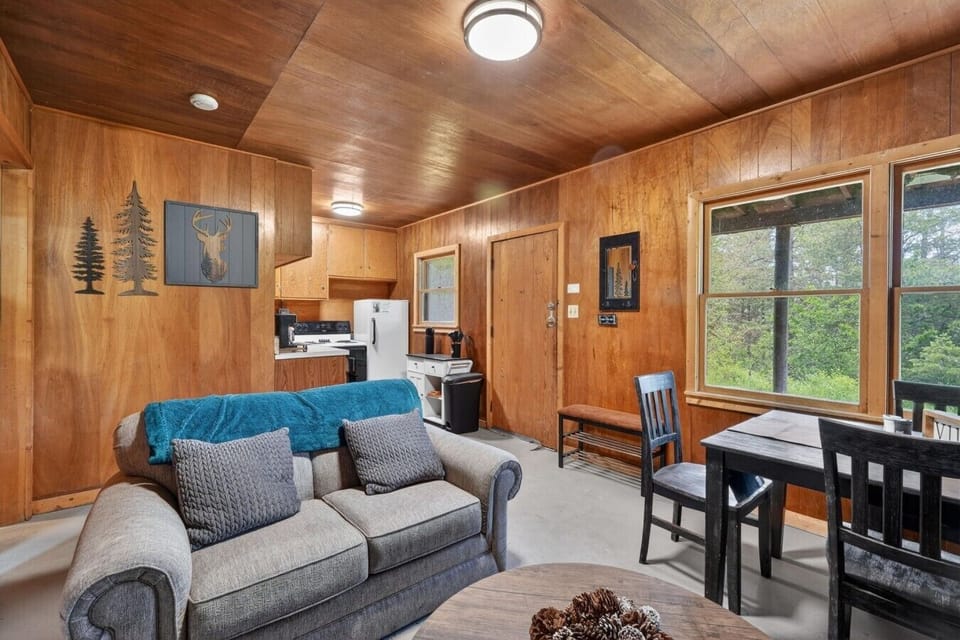 47-web-or-mls-Marcy Curr 1158 Snake River Rd 047