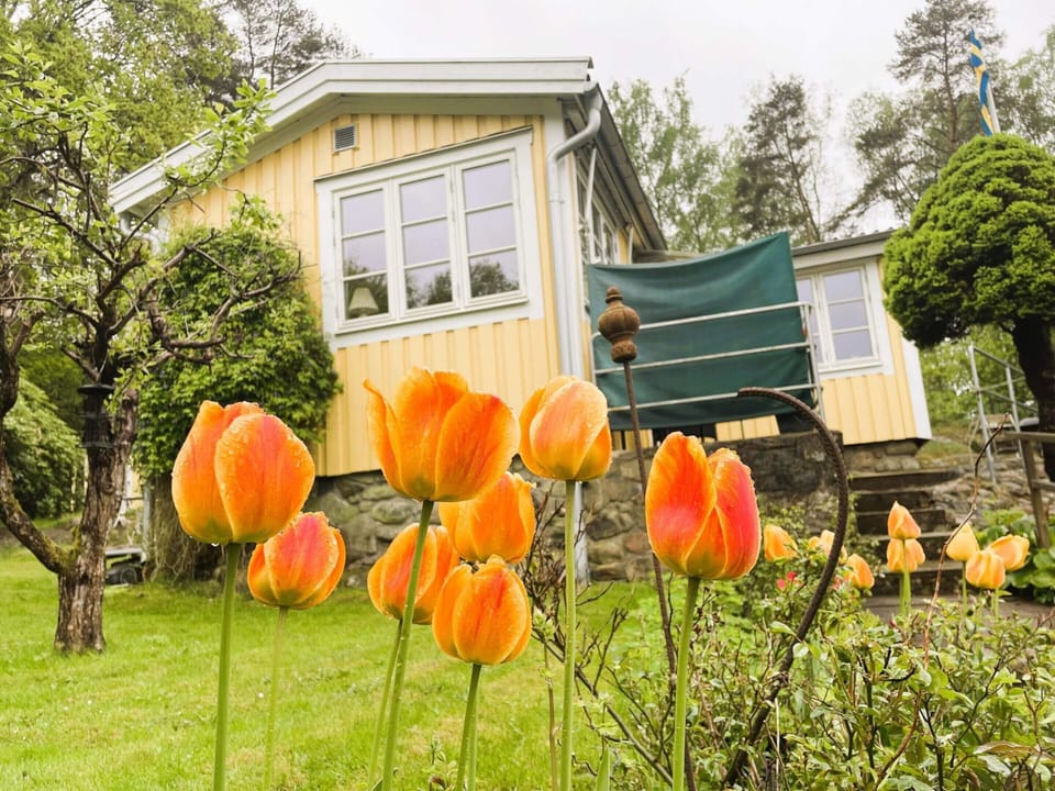 House | Exterior