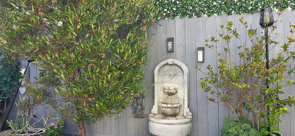 Relaxing Water Fountain