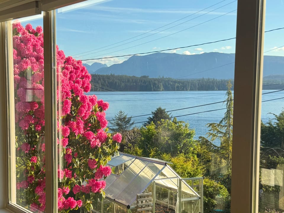Ocean and mountain view from living room couch