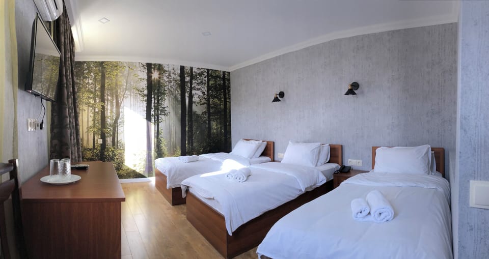 Triple Room, City View | Iron/ironing board (on request), WiFi (free), individually decorated