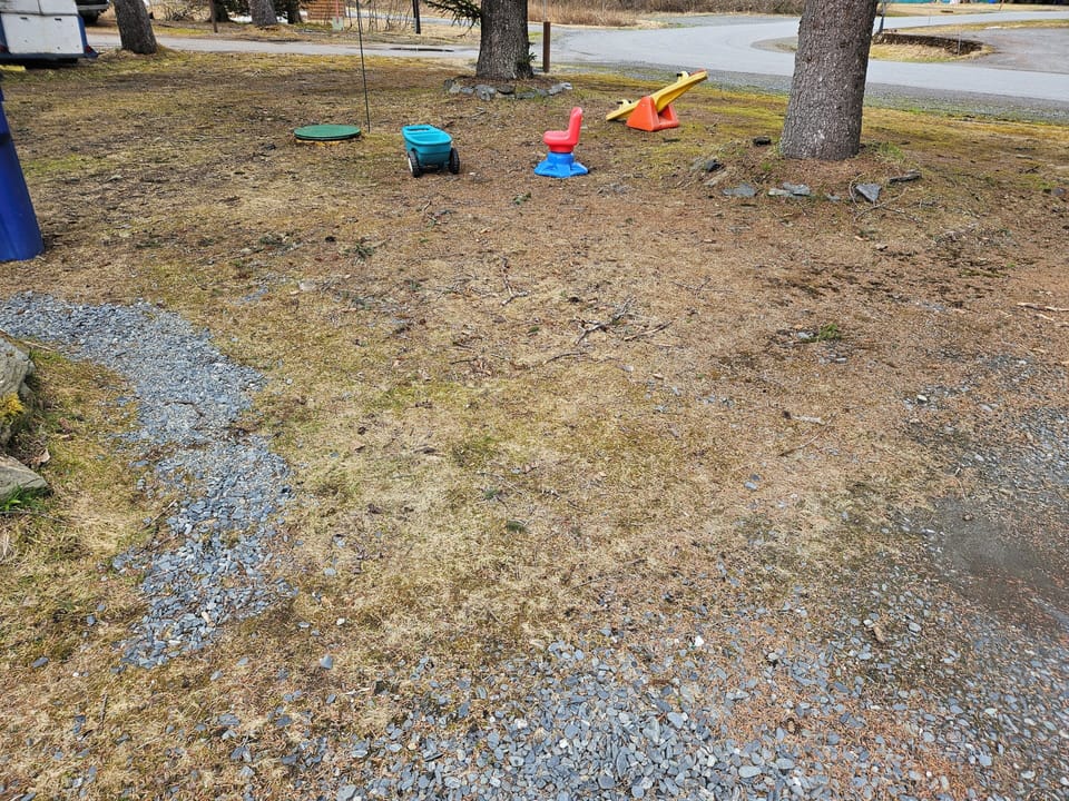Children's area