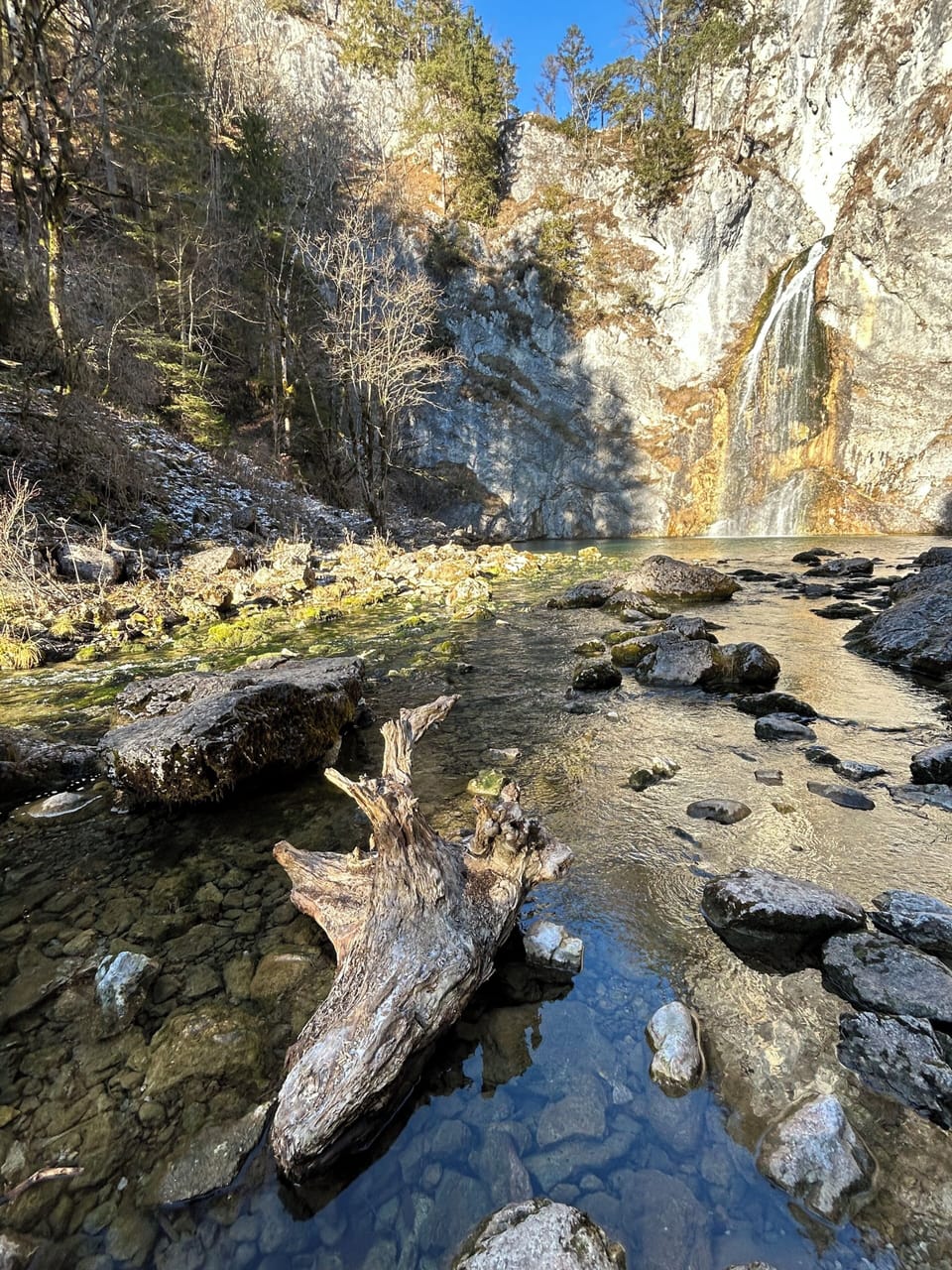 Miscellaneous