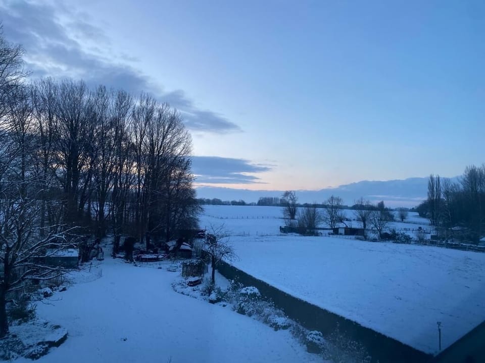 Jardin et bois sous la neige 