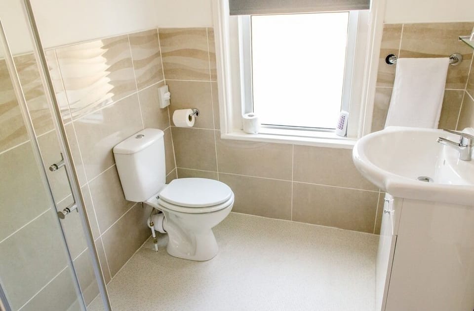 Double Room (King) | Bathroom | Towels
