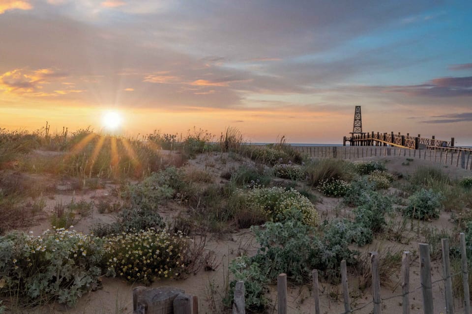 Sun rising over the dunes — mornings on the Leucate coastline, where the residence meets 16 km of sandy beach.