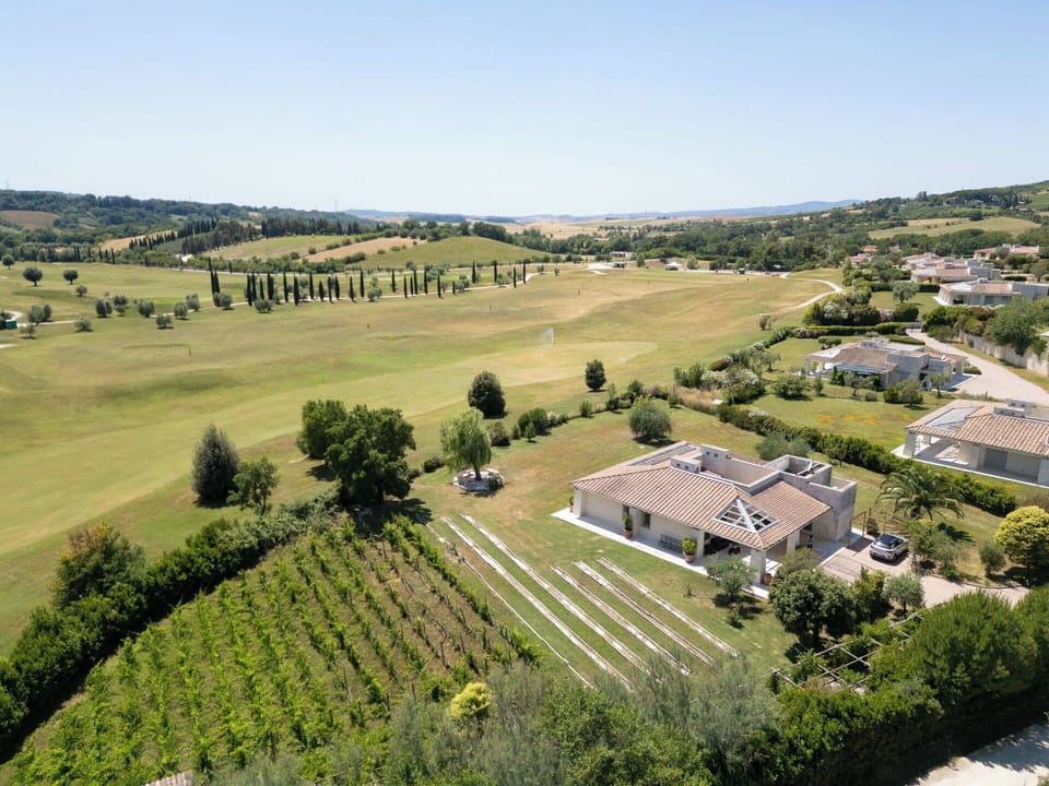 Plain, Landscape, Land Lot, Grassland, Plantation, Field, Rural Area, Agriculture, Bird'S-Eye View