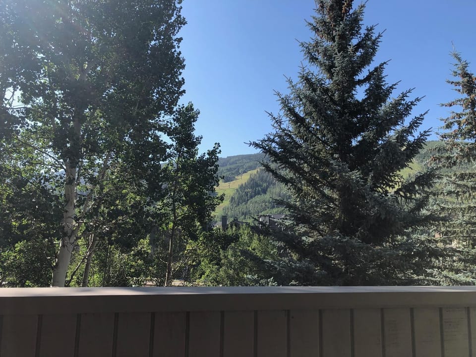 Condo, Multiple Beds (Sun Vail 21B, 3BD condo with Vail Mou) | View from property