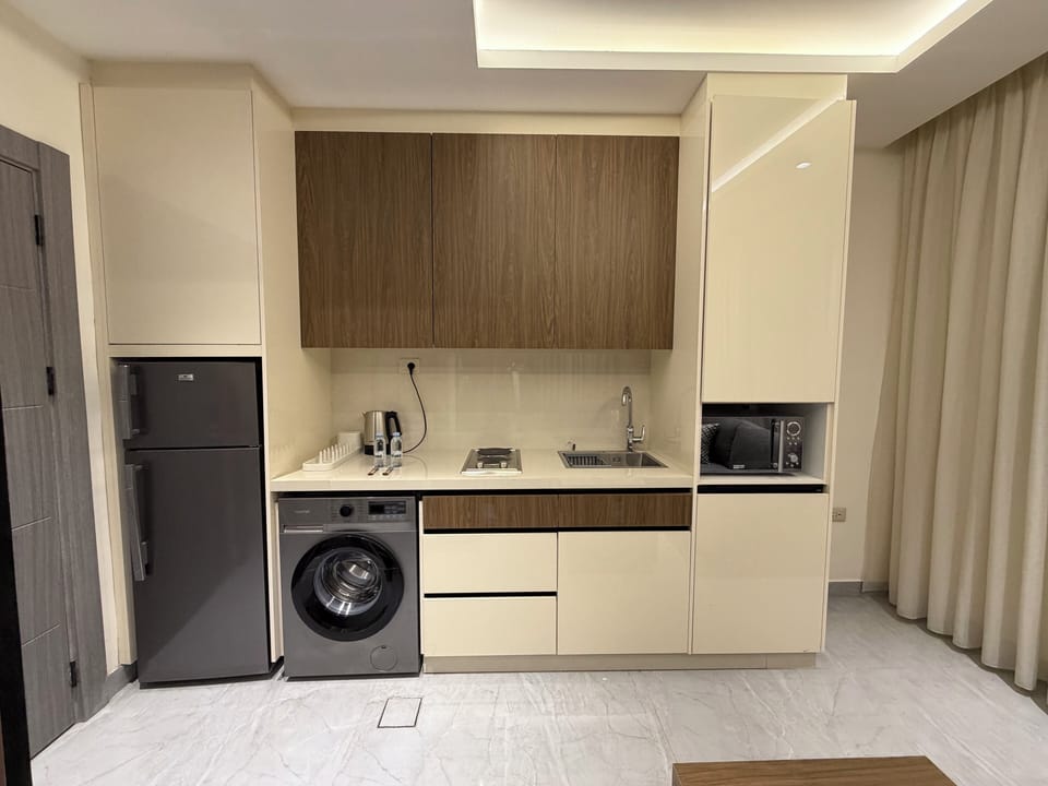 Apartment, 1 Bedroom, Accessible, Smoking | Laundry