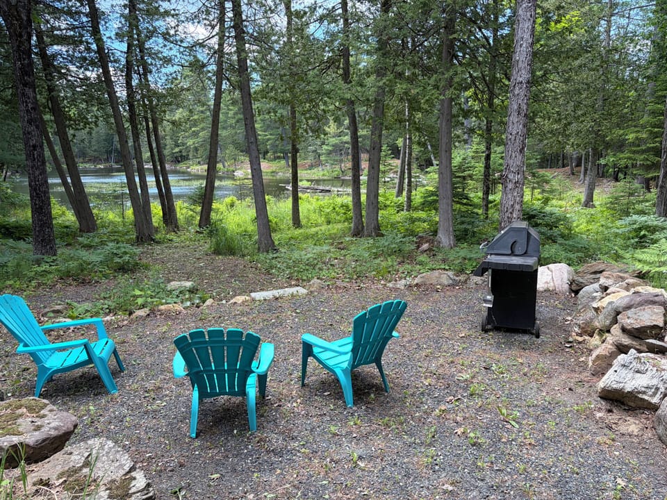 Fire up the grill and enjoy dinner with a peaceful pond view. 