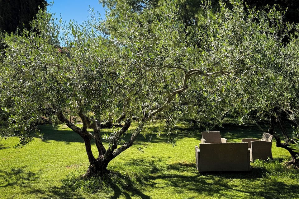 Shared Garden