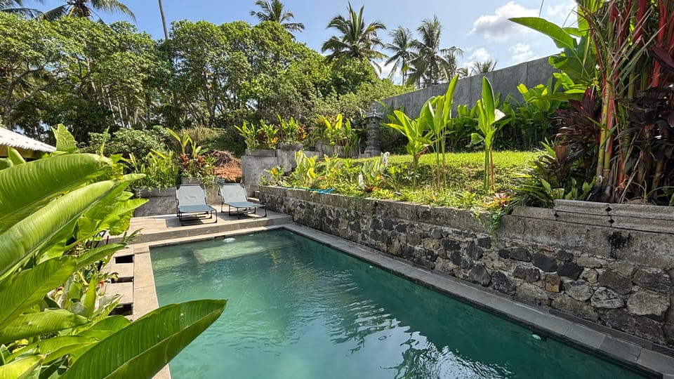 Natural pool