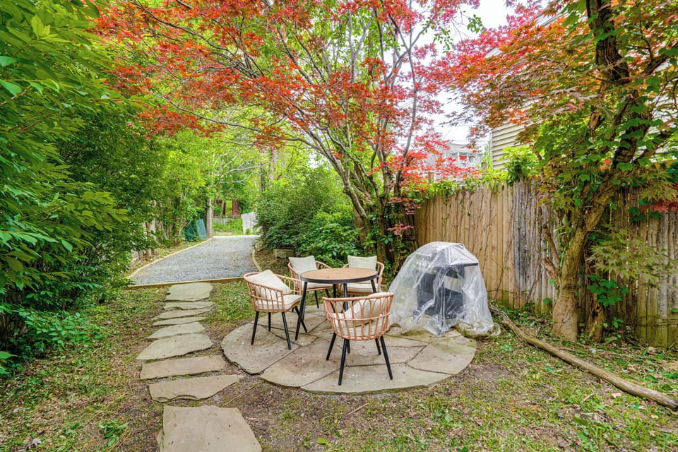 Shared Backyard
