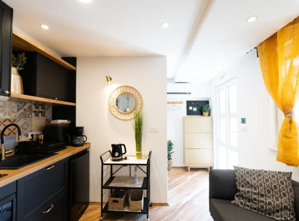 Studio (Studio Apartment) | Living room