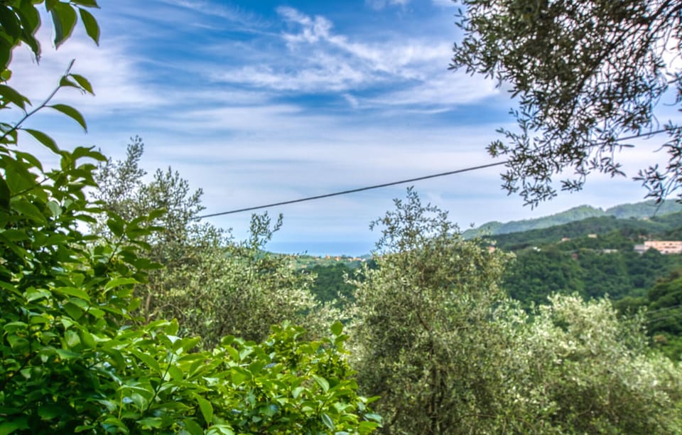 view-from-room
