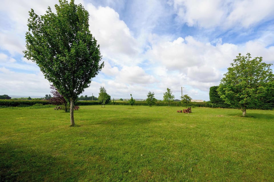 Spacious, large shared garden perfect for enjoying the fresh air