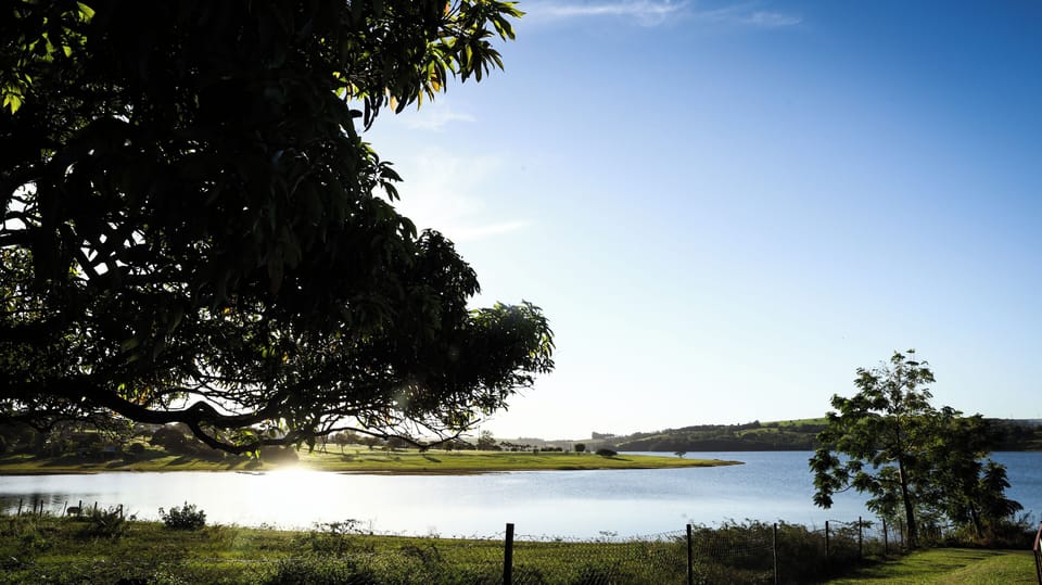 Suite, River View | View from property