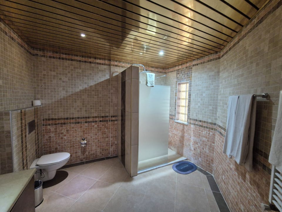Suite | Bathroom | Shower, hair dryer, towels, soap