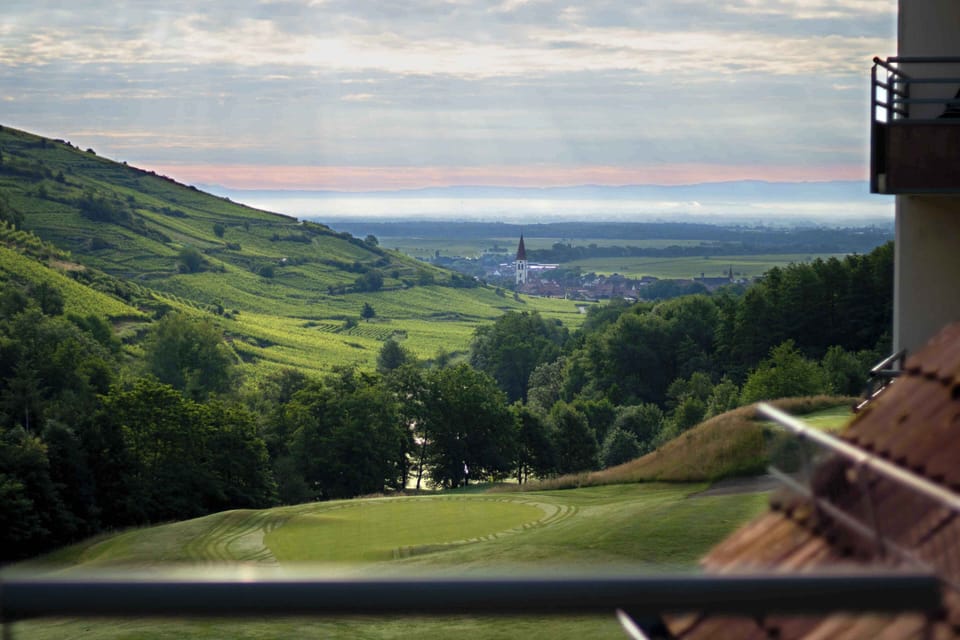 Morning light catches the vineyards and the village below — a view that reminds you why the Alsace Wine Route is one of France's most beloved.