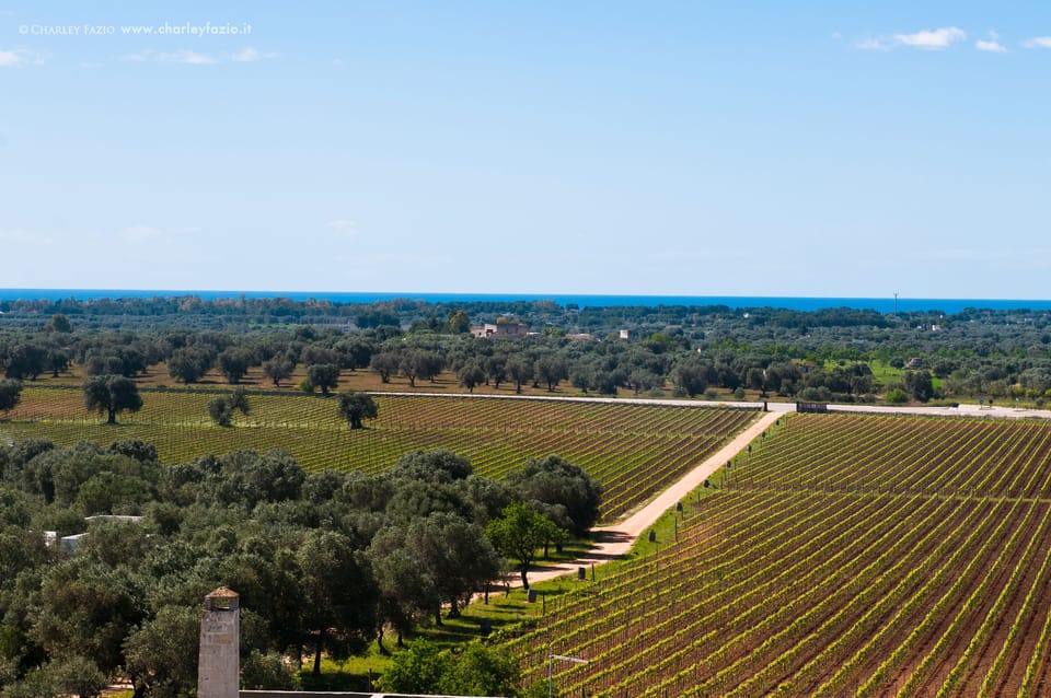 Land view from property