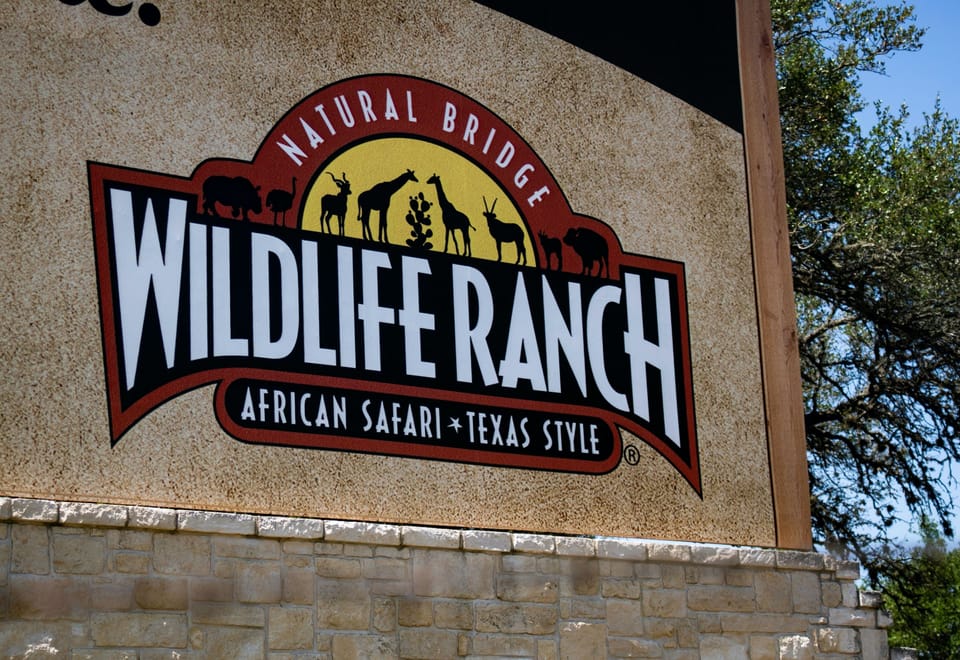 Local wildlife safari experience just a short drive away.