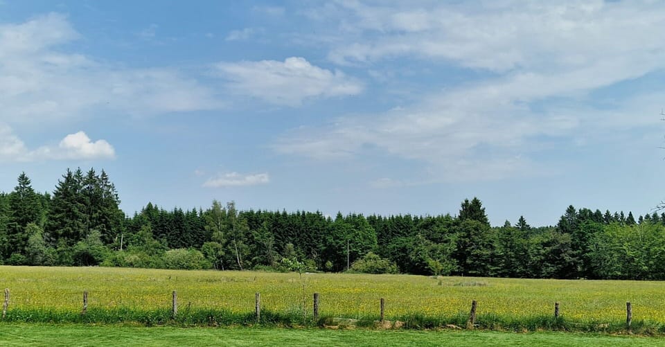 House | View from property