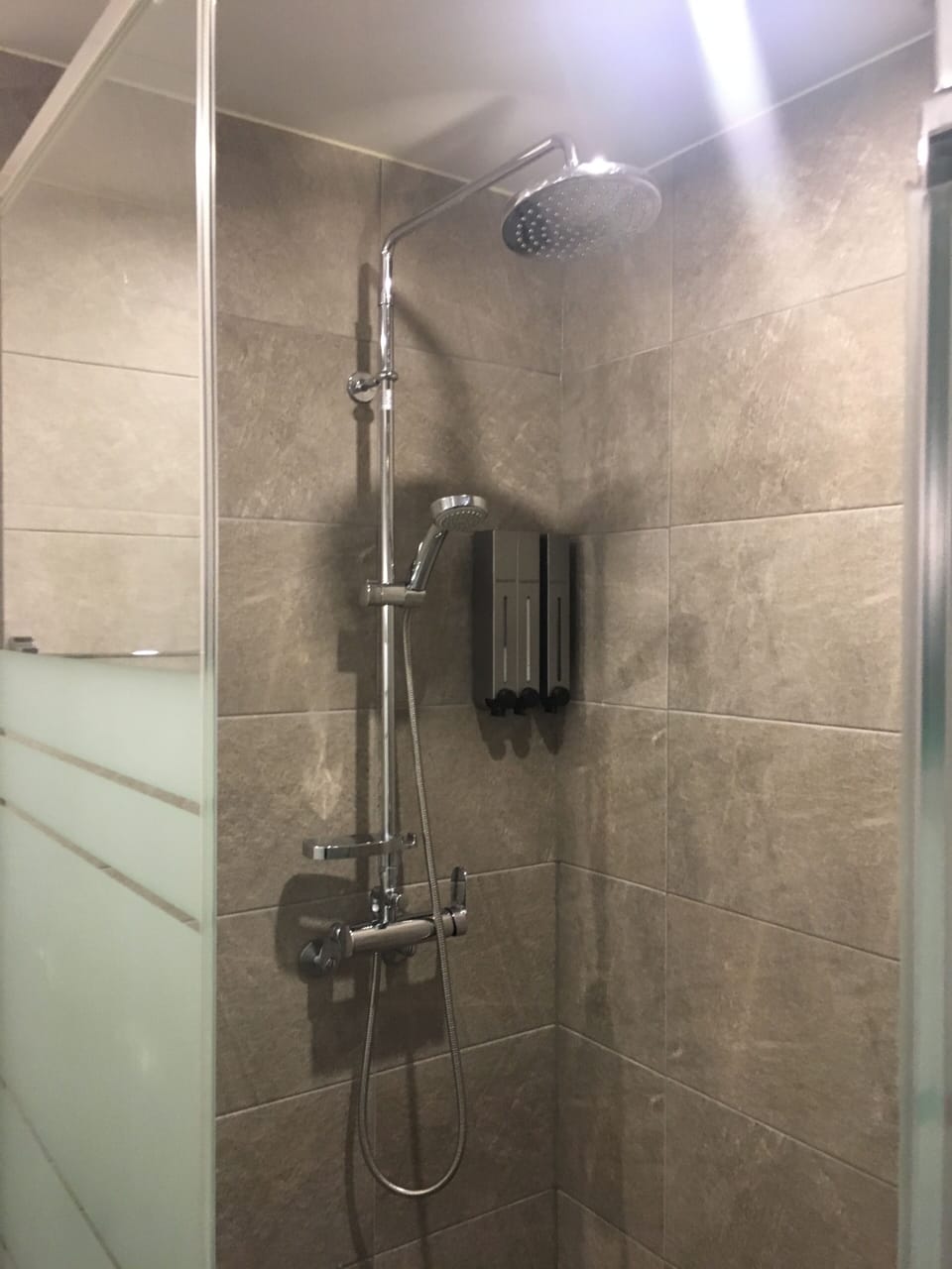 Hair dryer, towels, shampoo, toilet paper
