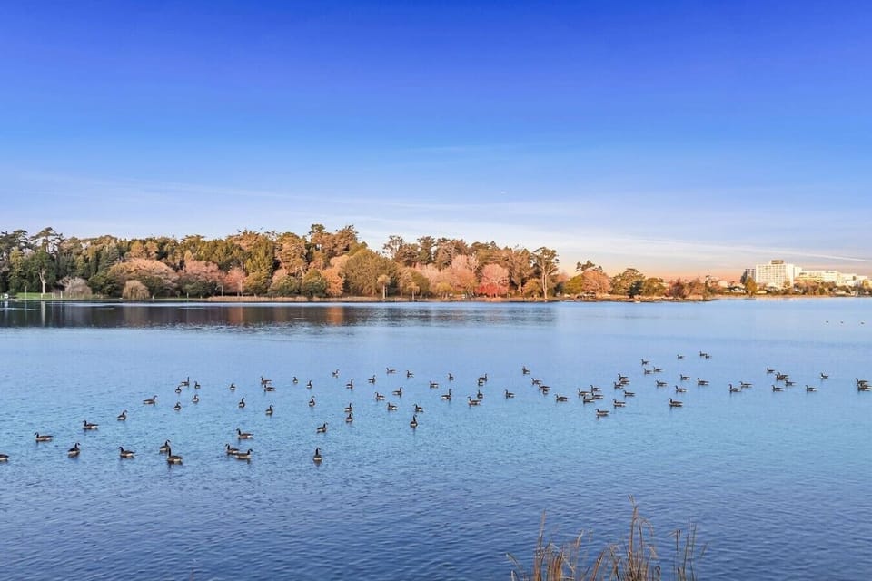 Watch your morning coffee steam up as geese glide across the glassy lake below your window.