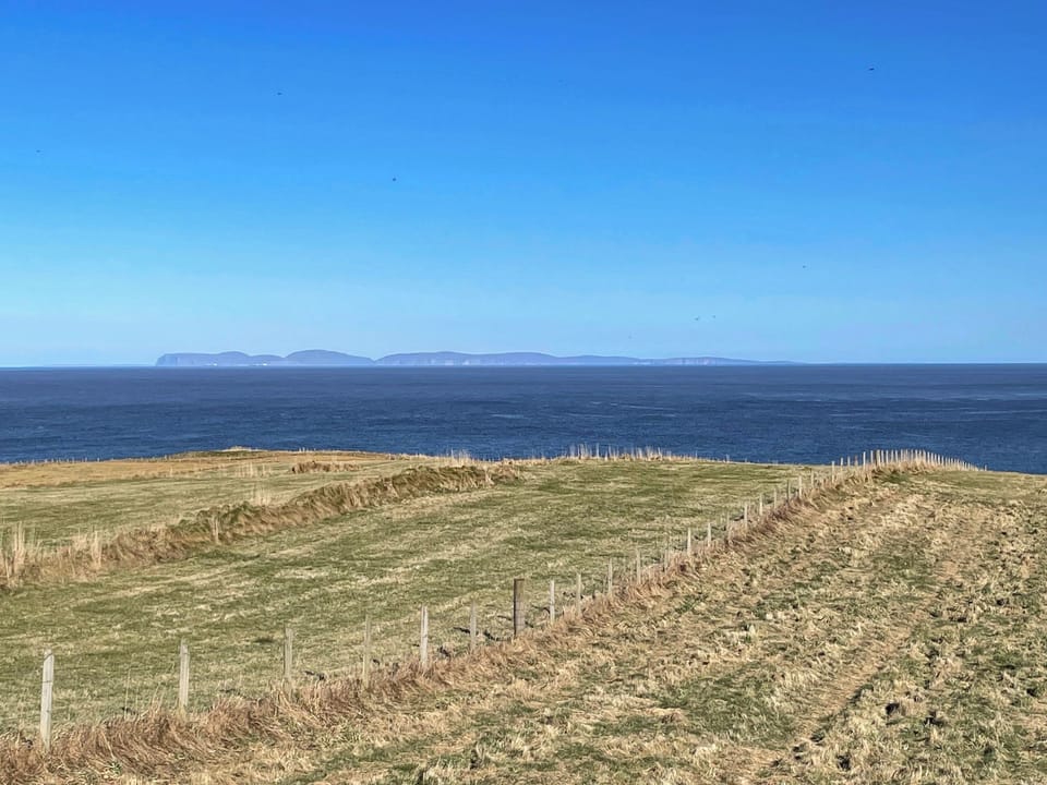 Surrounding area | Croft 105, Melvich