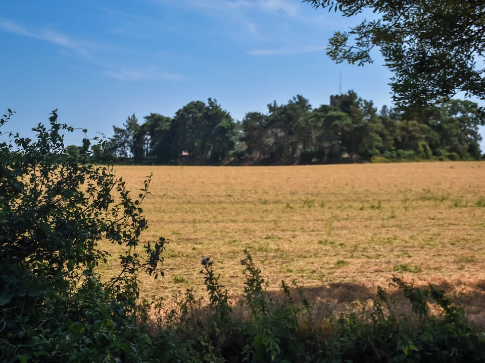 Surrounding area | The White One in the Middle, Thurton