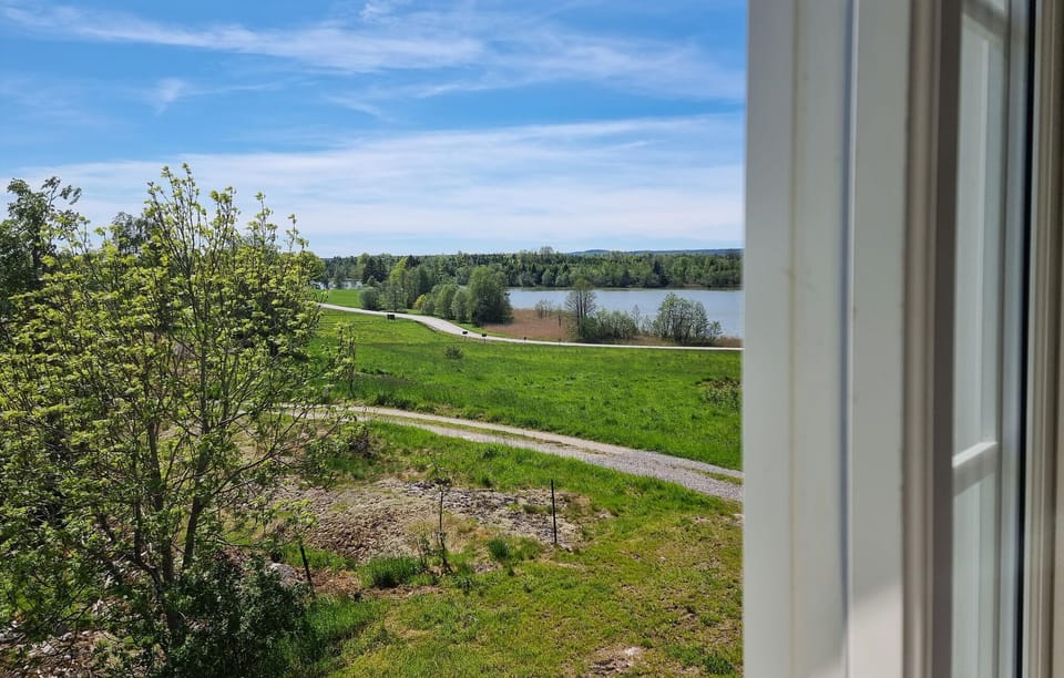 view-from-room
