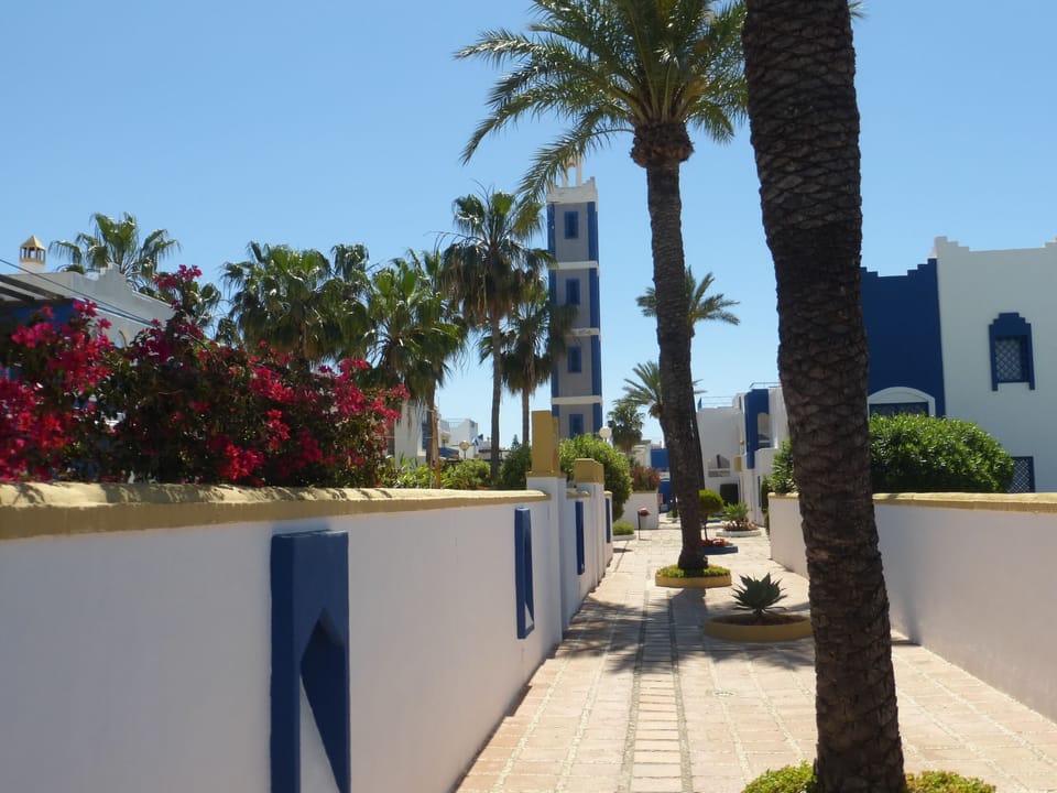 Apartment, 1 Bedroom, Smoking, Terrace | Garden