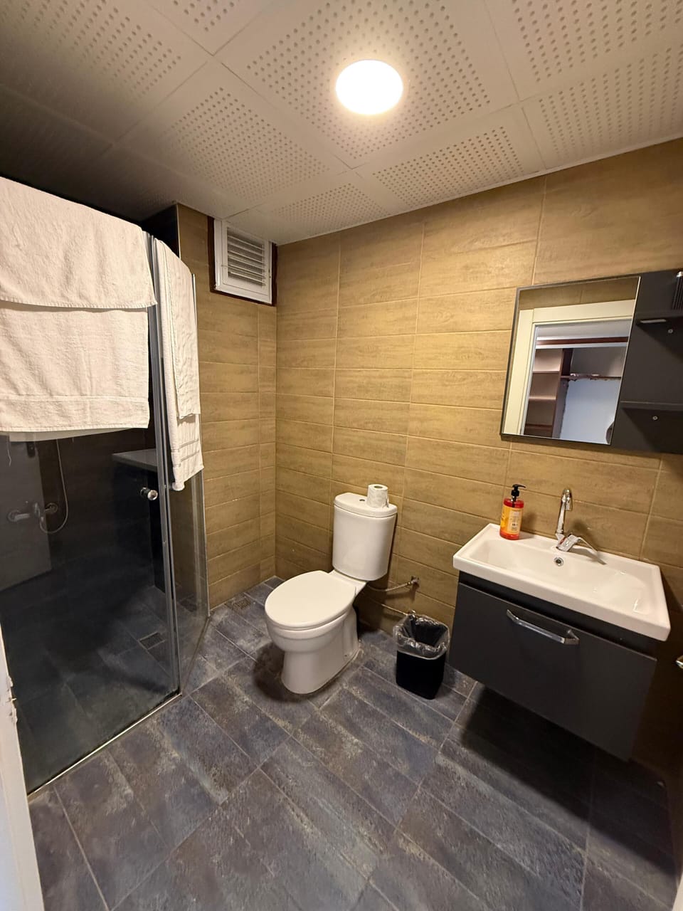 Shower, hair dryer, towels, shampoo