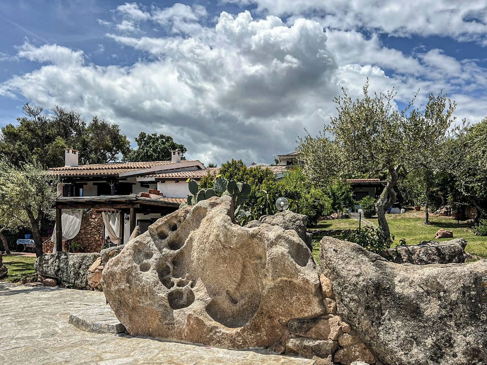 Studio, Patio, Garden View | Property grounds