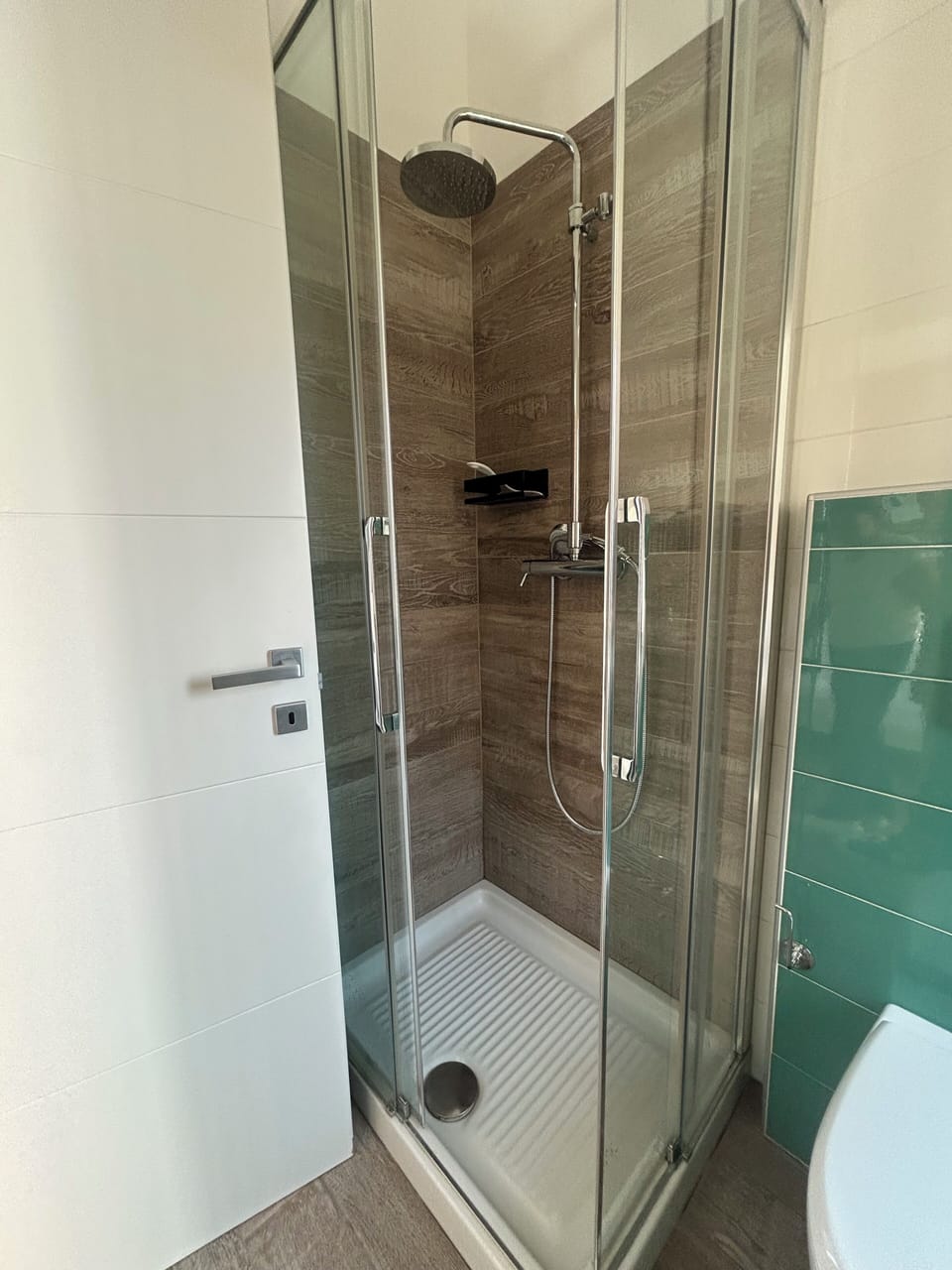 Shower, rainfall showerhead, hair dryer, bidet