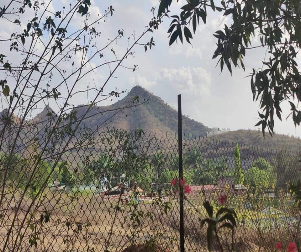 House | View from property