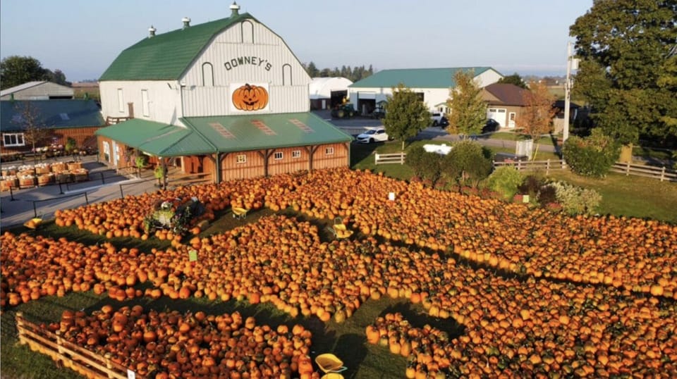 Downey's Farm Market