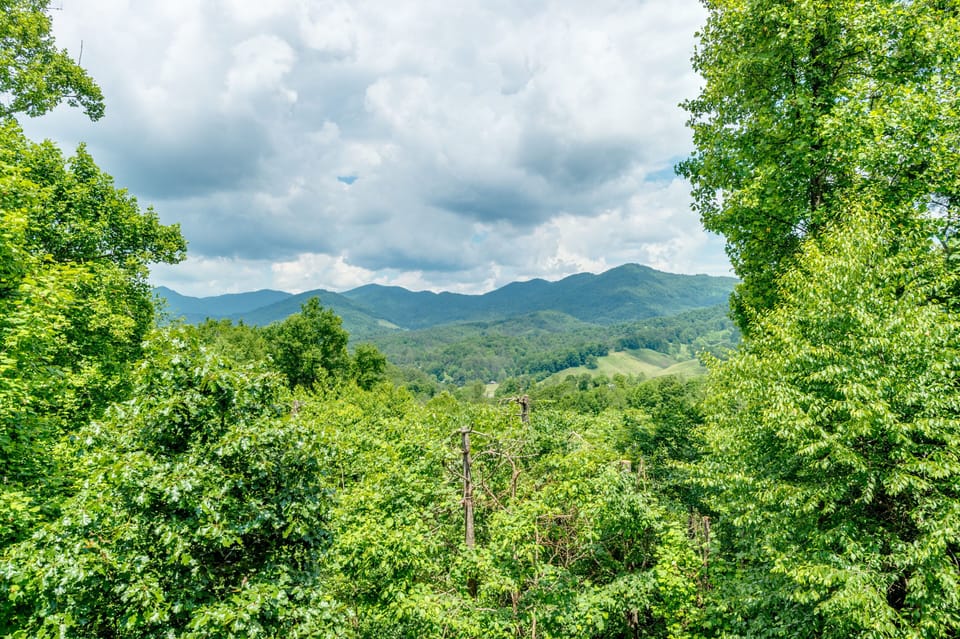 Scenic mountain views surrounded by lush trees and rolling hills
