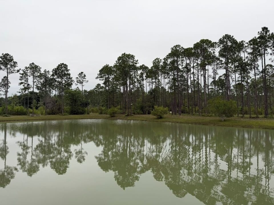 Water + Woods – Unique Treehouse Retreat in Gulf Shores