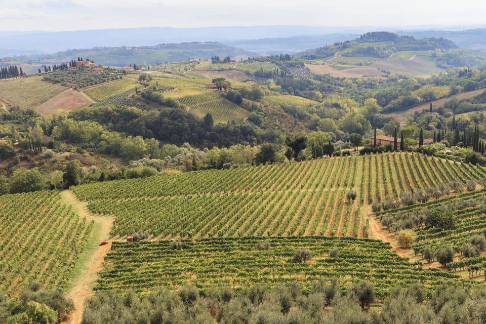 The Val d'Elsa hills and vineyards