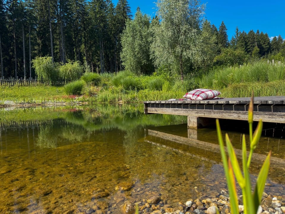 Holiday Park Facilities and Services 