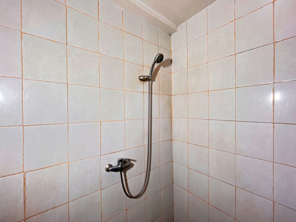 Deluxe Room | Bathroom | Shower, towels, soap, toilet paper