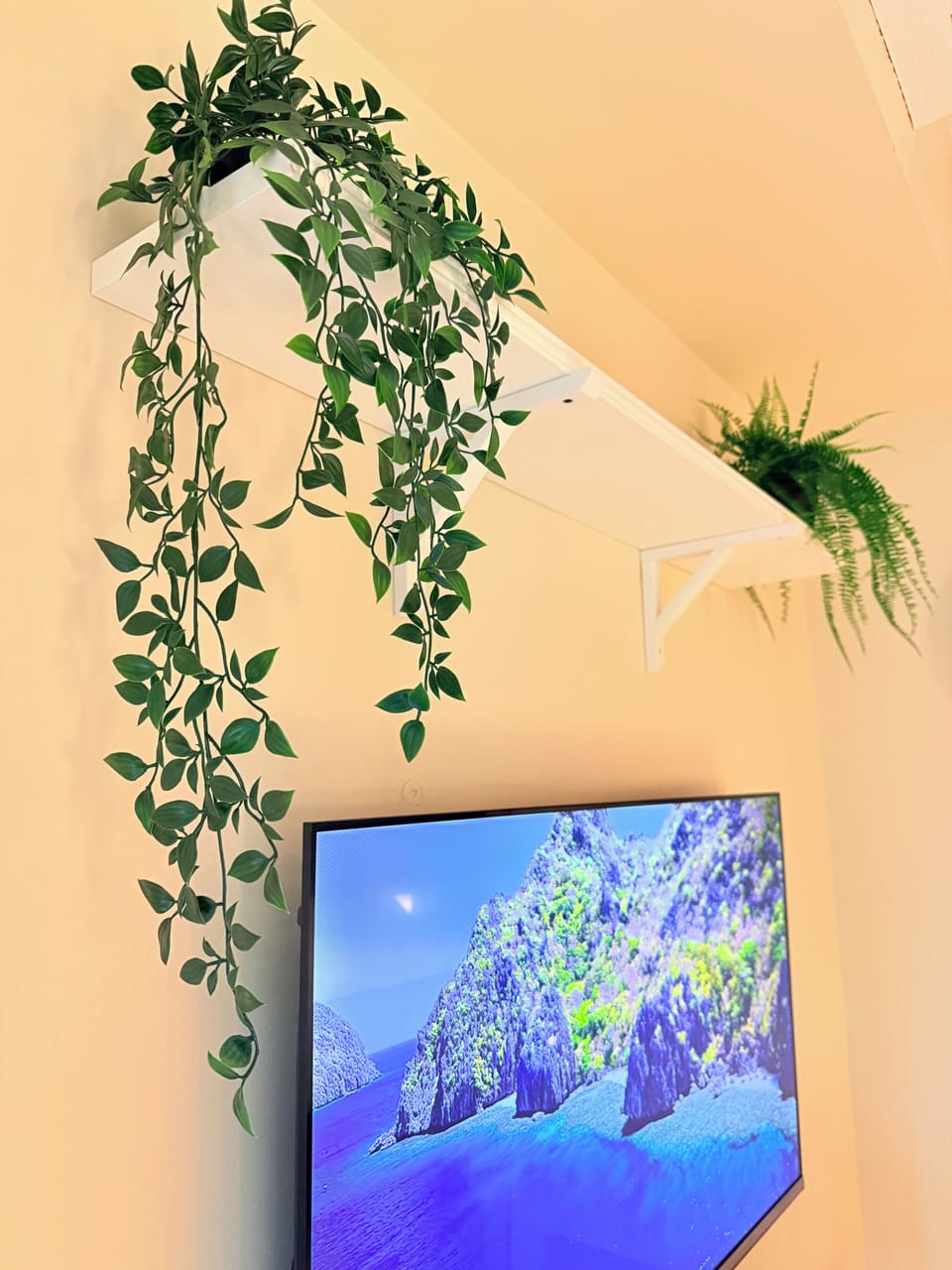 Television