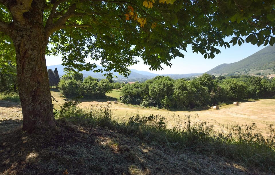 view-from-room