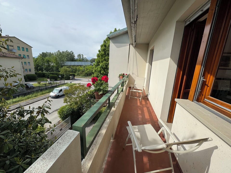 Apartment, Balcony, Yard, Landscaping, Courtyard, Houseplant