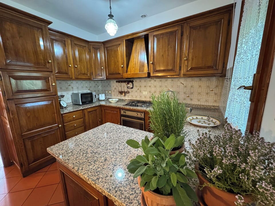 Kitchen, Countertop, Kitchen Appliance, Cabinetry, Major Appliance, Flooring, Wood, Interior Design, Kitchen Sink, Home Appliance
