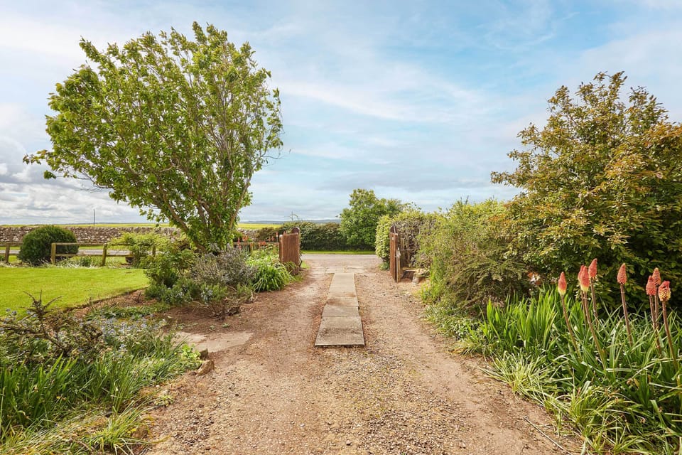 The Homestead, Berwick-upon-Tweed - Host & Stay