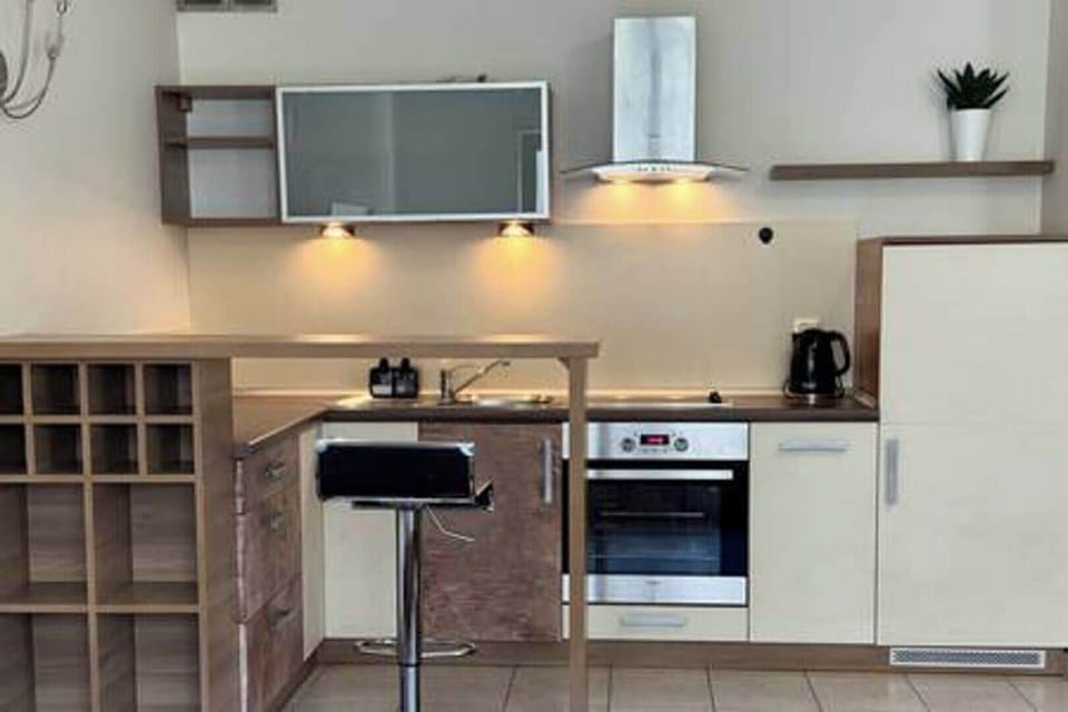 Apartment | Private kitchen | Fridge, oven, stovetop, dishwasher
