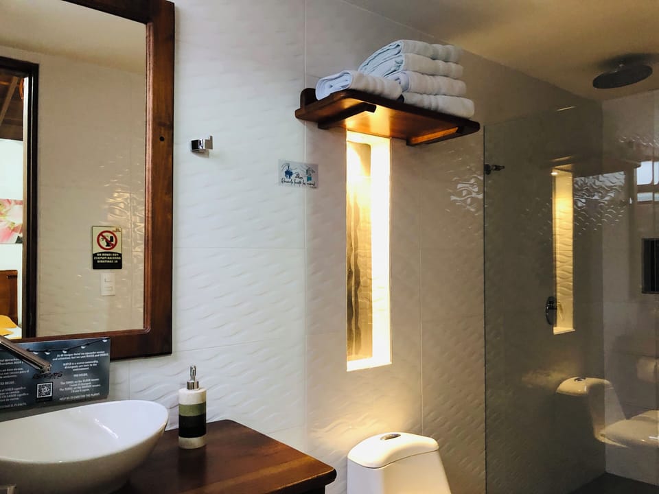 Comfort Room, 1 Queen Bed, Mountain View | Bathroom | Shower, towels, soap, shampoo